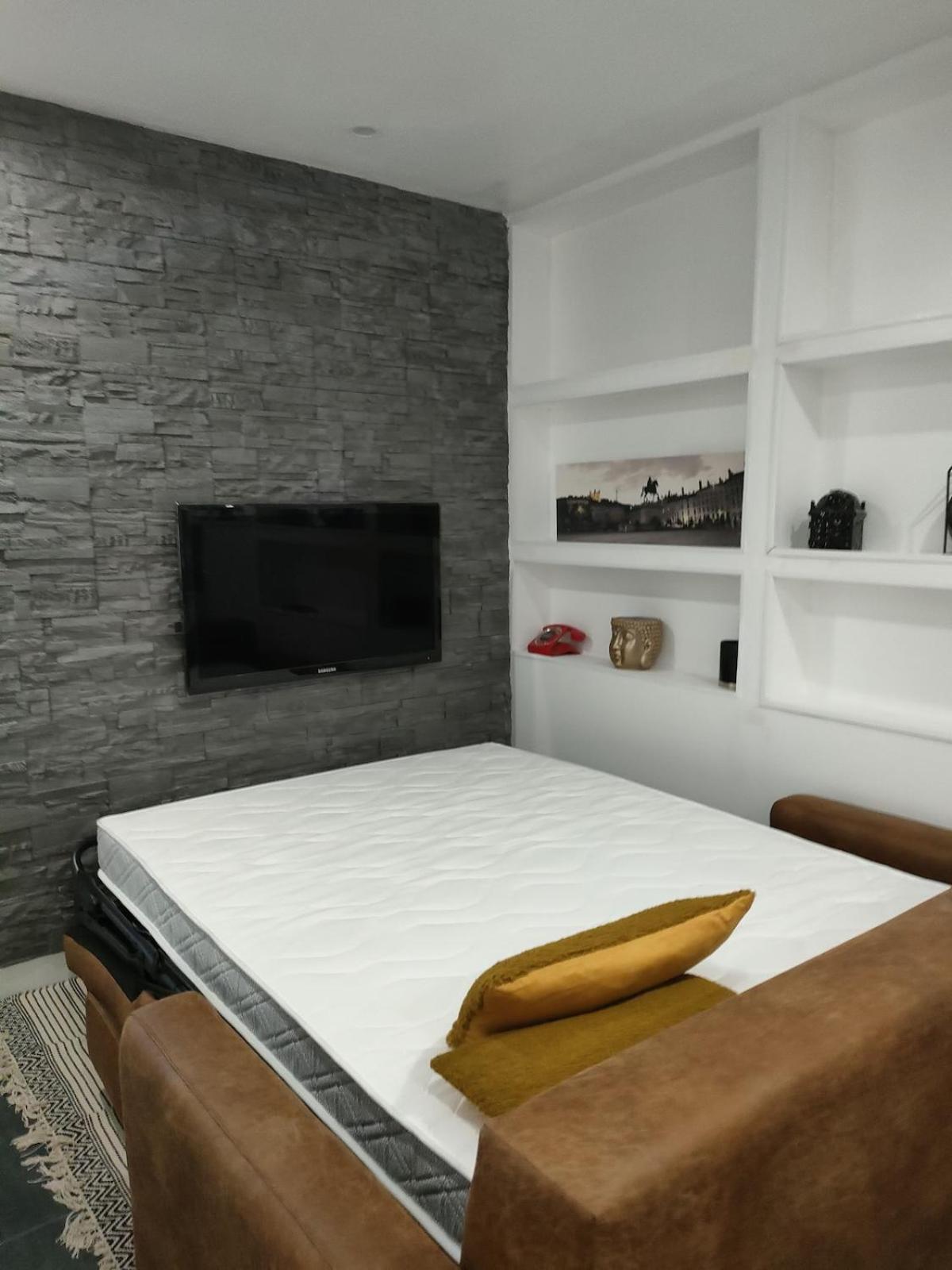 Le Petit Cocon - Parking Prive - Lyon Sud Apartment *